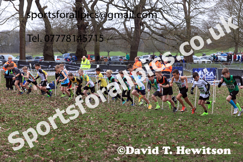 Boys Under-11s 2026 UK CAU Inter Counties Cross Country, Wollaton Park, Nottingham. Photo: David T. Hewitson/Sports for All Pics